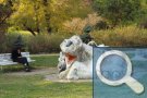 Im Park des Denkmals für die Sowjetarmee