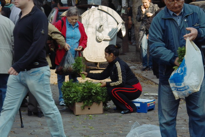 Frauenmarkt