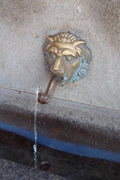 Brunnen mit Lsenkopfwasserspeier